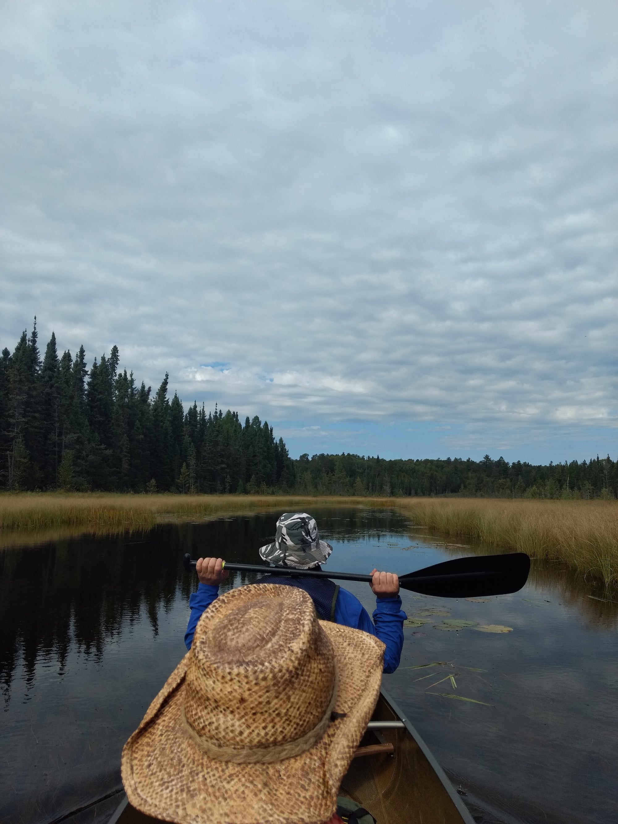 Boundary Life is simpler in the BWCA